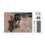 Louie Woofstock Postage Stamps