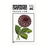 Louis Van Houtte Gorgeous Antique Dahlia Print stamps