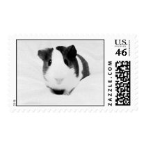 louise postage