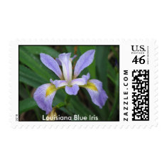 Louisiana Blue Iris stamp