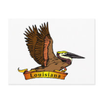 Louisiana Brown Pelican postcards by GeographyTees Louisiana Brown Pelican postcards