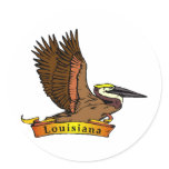 Louisiana Brown Pelican