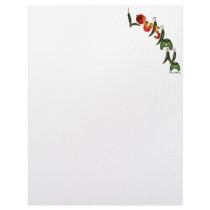 Louisiana Chili Peppers letterhead