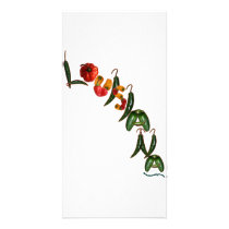 Louisiana Chili Peppers photo cards