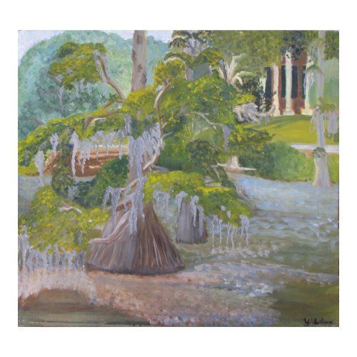 Louisiana Cypress Lake print