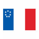 Louisiana Flag (1861 Unofficial) t-shirts