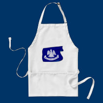 louisiana Flag aprons
