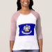 Ladies 3/4 Sleeve Raglan (Fitted)