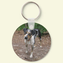 Louisiana Leopard Dog keychains