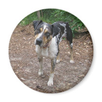 Louisiana Leopard Dog magnets by lalagniappe Louisiana Leopard Dog magnets