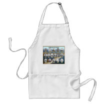 Louisiana Lighthouses aprons