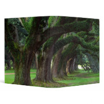 LOUISIANA LIVE OAK TREES CUSTOMIZABLE BINDERS by PerGis_NOSaints LOUISIANA LIVE OAK TREES CUSTOMIZABLE BINDERS