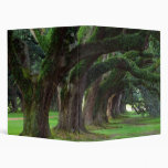 LOUISIANA LIVE OAK TREES CUSTOMIZABLE BINDERS