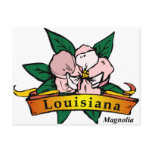 Louisiana Magnolia