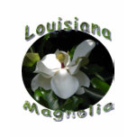 Louisiana Magnolia
