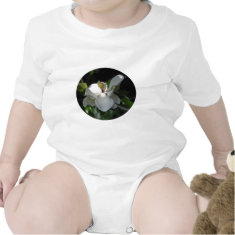 Louisiana Magnolia shirt