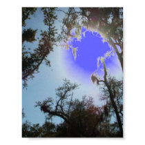 Louisiana Pearl River Wetland Swamp posters by loudenbur Louisiana Pearl River Wetland Swamp posters
