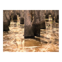 Louisiana Pearl River Wetland Swamp posters by loudenbur Louisiana Pearl River Wetland Swamp posters