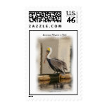 Louisiana Pelicans in Peril Stamps