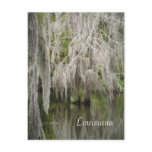 Louisiana Postcard