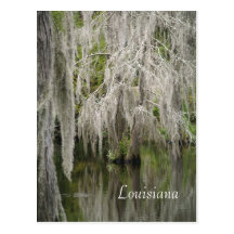 Louisiana Postcard