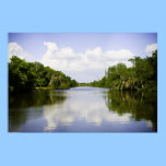 Louisiana posters