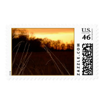 Louisiana Scenery postage by klcris Louisiana Scenery postage