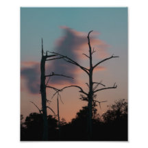 Louisiana Sunset Photographic Print