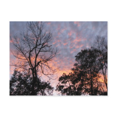 Louisiana Sunset postcard