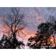 Louisiana Sunset print