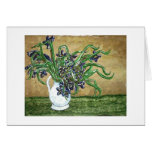 Louisiana Swamp Irises