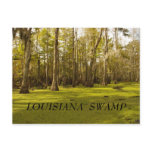 Louisiana Swamp (LA), LOUISIANA  SWAMP
