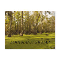 Louisiana Swamp (LA), LOUISIANA  SWAMP postcards