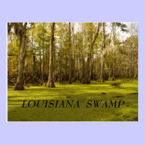 Louisiana Swamp (LA), LOUISIANA  SWAMP postcards