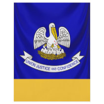 Louisiana-USA-state-flag draped2 Flyer