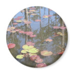 Louisiana Water Lilies