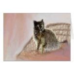 Lounge Cat Cards