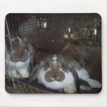 Lounging Around mousepads