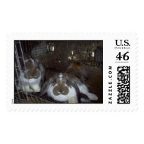 Lounging Around postage