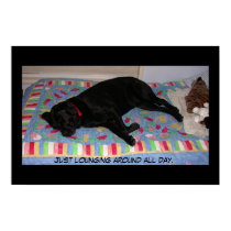 Lounging Around posters by DFoster Lounging Around posters