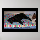 Lounging Around Print