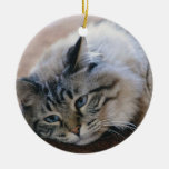 Lounging Cat Christmas Ornaments