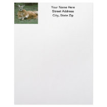 Lounging Kangaroo Letterhead