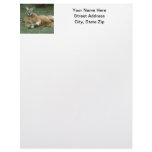 Lounging Kangaroo Letterhead