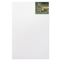 Lounging Kangaroo Customized Stationery