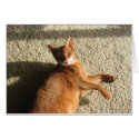 Lounging Kitty Card by gardenparty Lounging Kitty Card