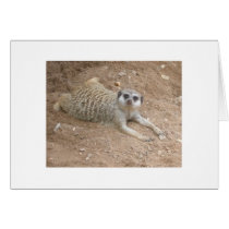 Lounging Meerkat Card by aestheticchaos Lounging Meerkat Card
