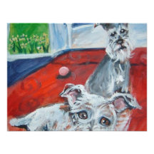 lounging schnauzers invite