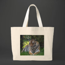 Lounging Tiger bags