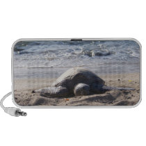 Lounging Turtle speakers
